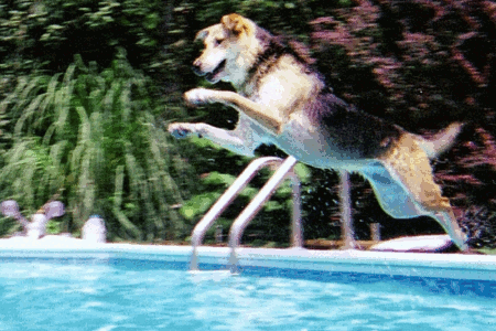 Jump Into a Clean Pool Today!